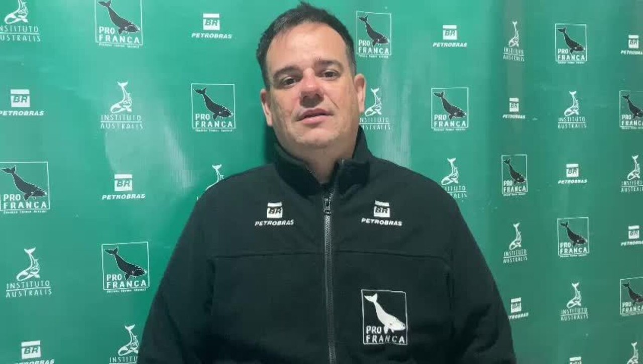 Menor oferta de alimentos para baleias-francas traz incertezas sobre vinda dos animais a SC; entenda