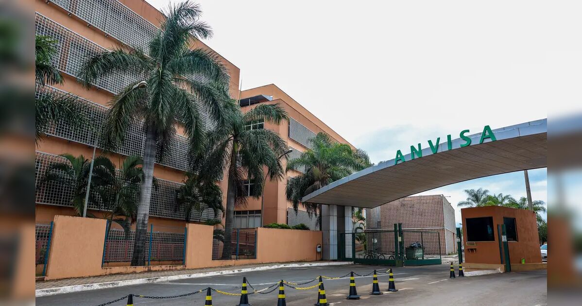 Anvisa: suplementos com cúrcuma podem trazer risco de danos ao fígado